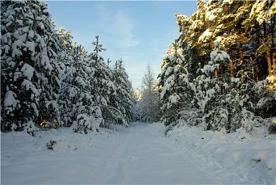 米津玄师 x PlayStation新CM公开《无游世界》