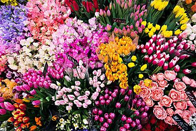 《火影忍者：终极风暴羁绊》被指使用AI配音 万代否认